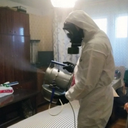 Дезинфекция от клопов в Лебяжьем