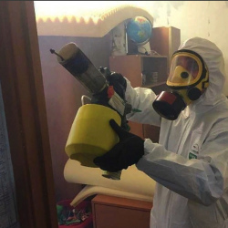 Уничтожение клопов в квартире. Лебяжье